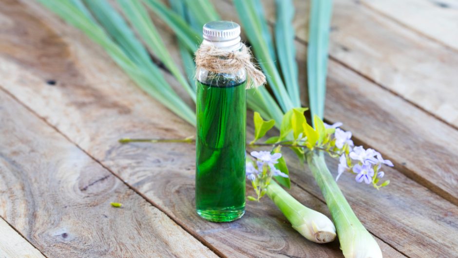 Cum lemongrass doTERRA sprijină sănătatea mentală și echilibrul emoțional